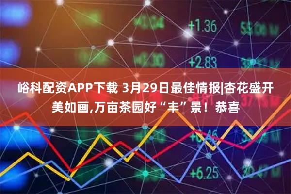 峪科配资APP下载 3月29日最佳情报|杏花盛开美如画,万亩茶园好“丰”景！恭喜