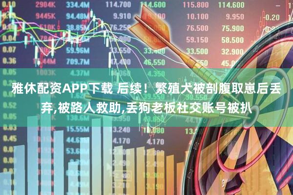 雅休配资APP下载 后续！繁殖犬被剖腹取崽后丢弃,被路人救助,丢狗老板社交账号被扒