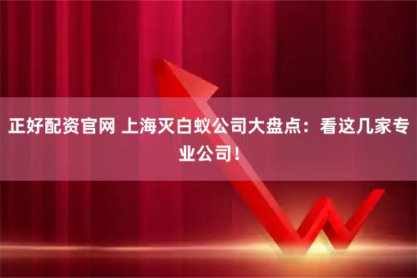 正好配资官网 上海灭白蚁公司大盘点：看这几家专业公司！